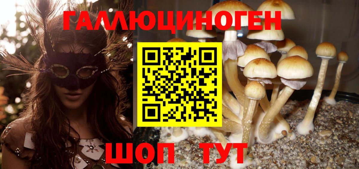 Галлюциногенные грибы GOLDEN TEACHER  Ревда  Галлюциногенные грибы Psilocybine cubensis 